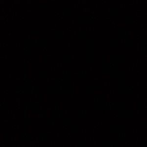 Meet your Posher, Troy